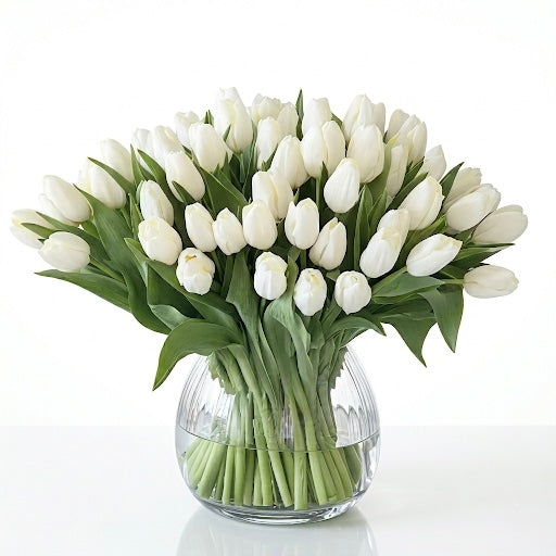 White Tulip Arrangement 50 Stems