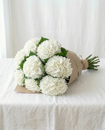 White Hydrangeas