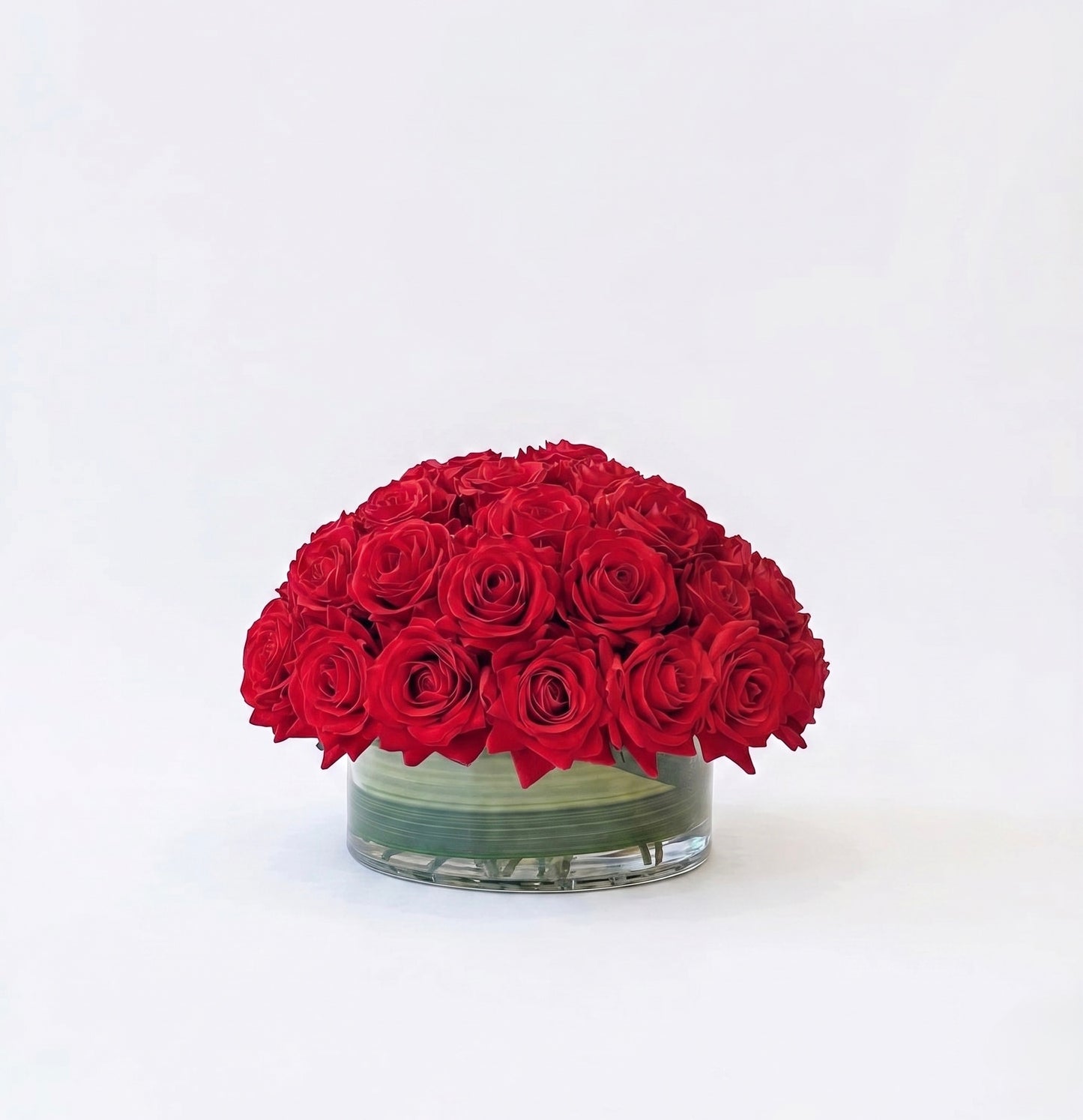 Classic Red Rose