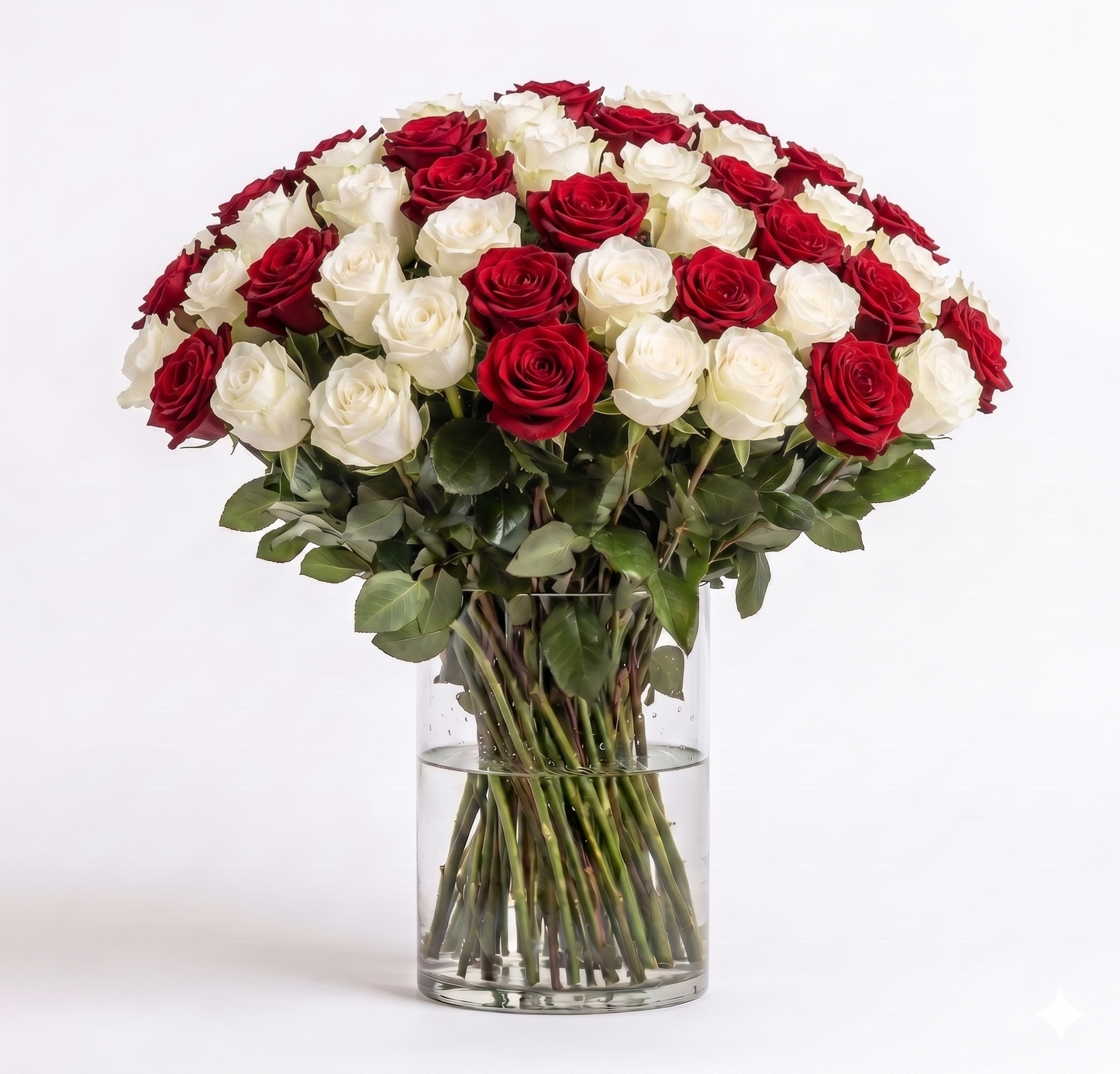 Timeless Roses