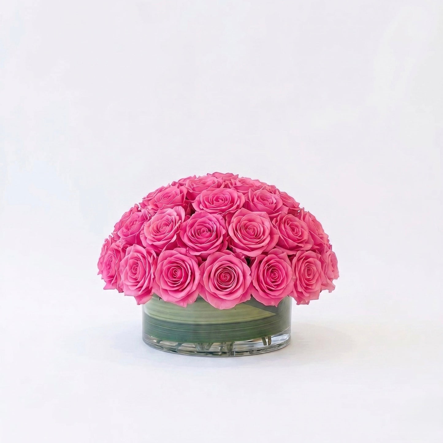 Pink Rose Dome