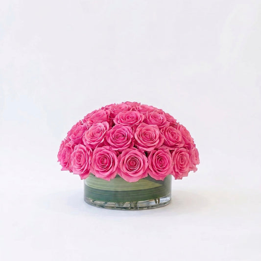 Pink Rose Dome