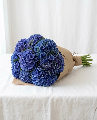 Purple Hydrangeas