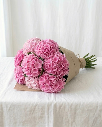 Pink Hydrangeas