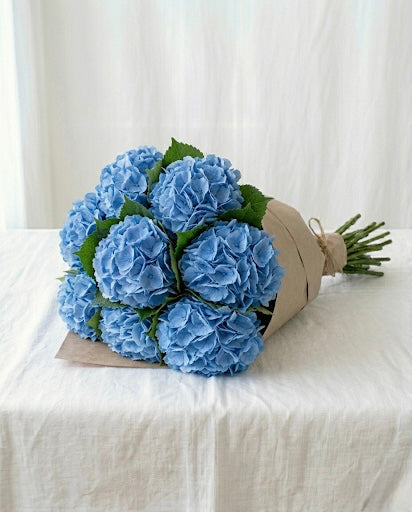 Blue Hydrangeas